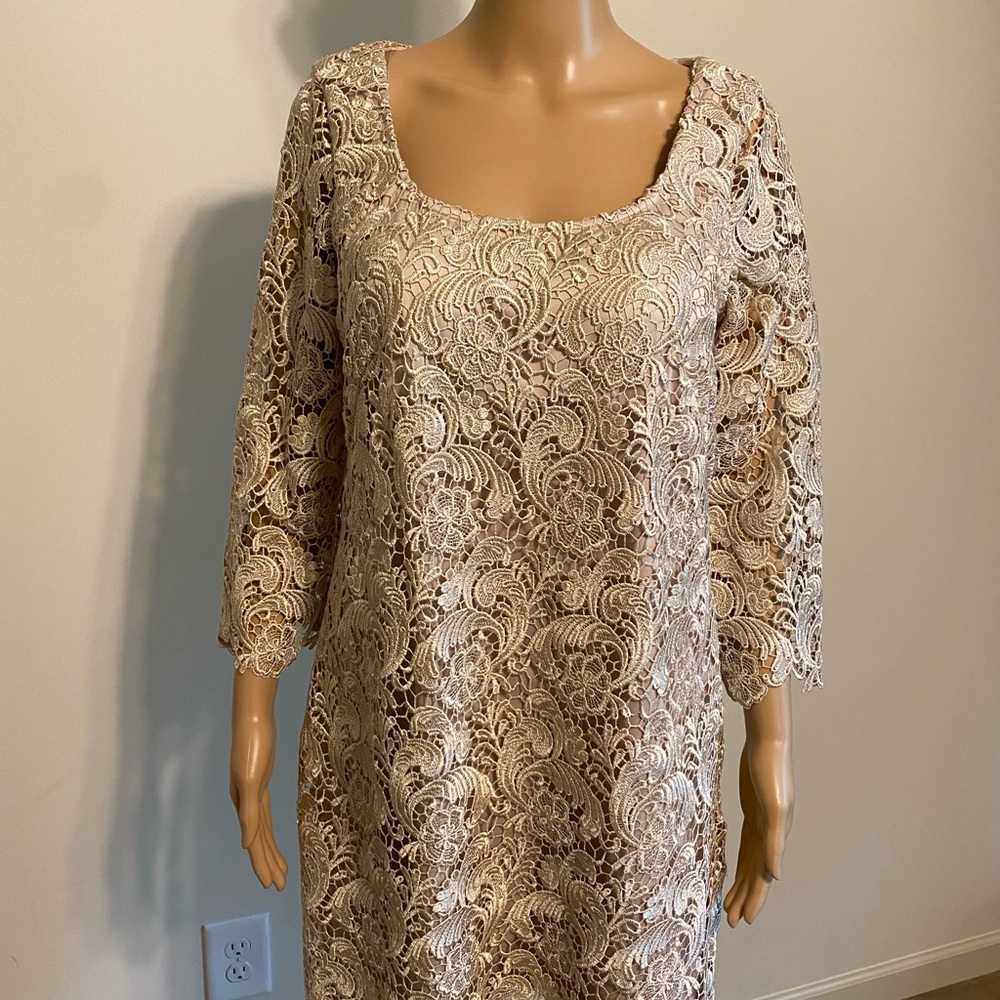 Cache lace dress